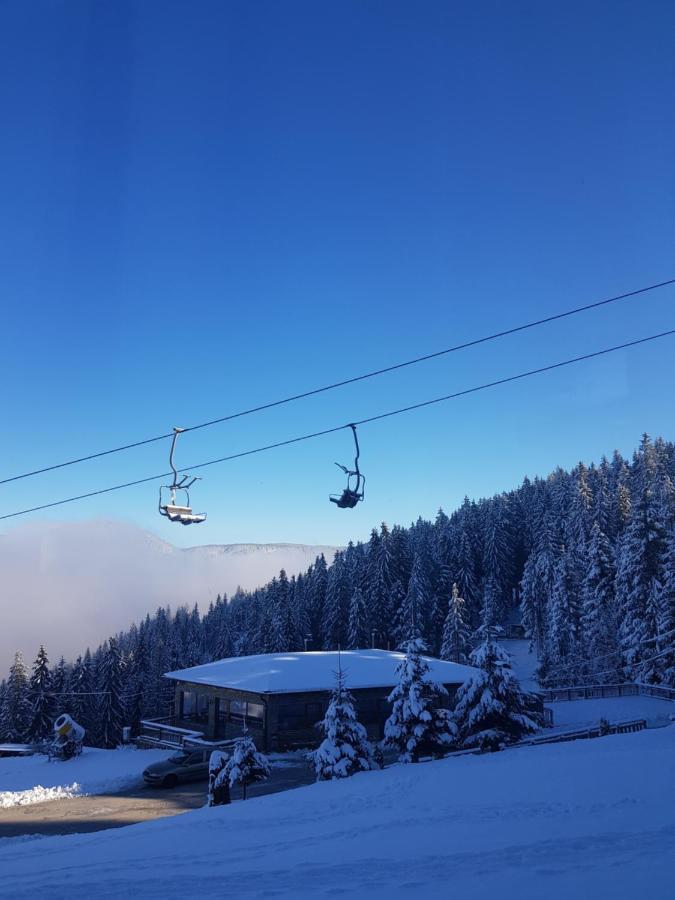Vlasicka Avantura Eko Fis 509 Vlašić